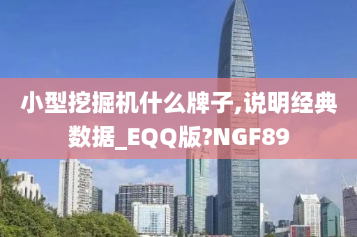 小型挖掘机什么牌子,说明经典数据_EQQ版?NGF89