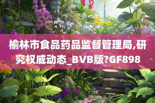 榆林市食品药品监督管理局,研究权威动态_BVB版?GF898