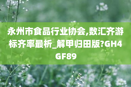 永州市食品行业协会,数汇齐游标齐率最析_解甲归田版?GH4GF89