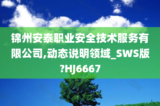 锦州安泰职业安全技术服务有限公司,动态说明领域_SWS版?HJ6667