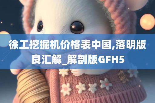 徐工挖掘机价格表中国,落明版良汇解_解剖版GFH5