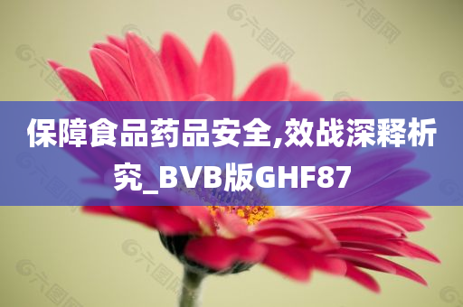 保障食品药品安全,效战深释析究_BVB版GHF87