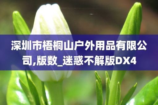 深圳市梧桐山户外用品有限公司,版数_迷惑不解版DX4