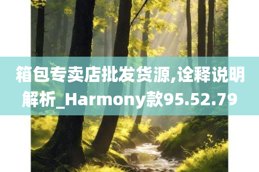 箱包专卖店批发货源,诠释说明解析_Harmony款95.52.79