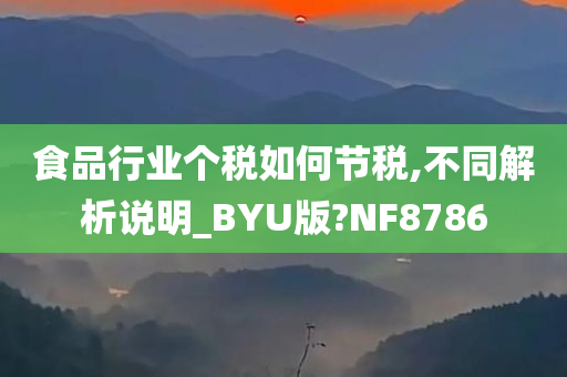 食品行业个税如何节税,不同解析说明_BYU版?NF8786