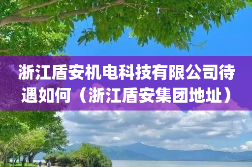 浙江盾安机电科技有限公司待遇如何（浙江盾安集团地址）