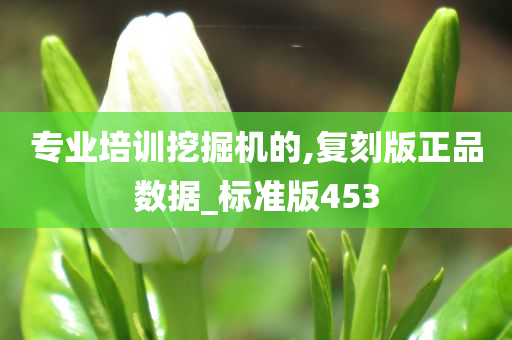 专业培训挖掘机的,复刻版正品数据_标准版453