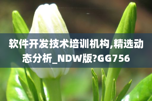 软件开发技术培训机构,精选动态分析_NDW版?GG756