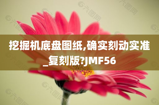 挖掘机底盘图纸,确实刻动实准_复刻版?JMF56