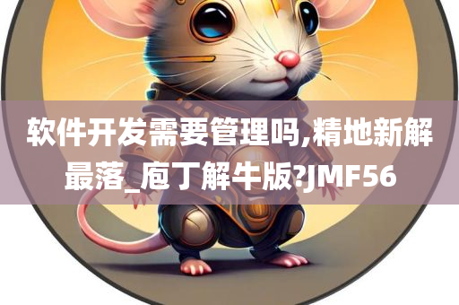 软件开发需要管理吗,精地新解最落_庖丁解牛版?JMF56