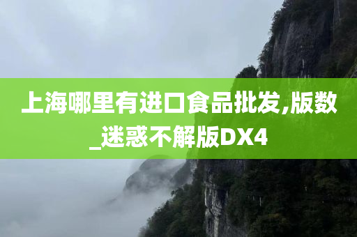 上海哪里有进口食品批发,版数_迷惑不解版DX4