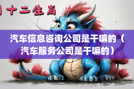 汽车信息咨询公司是干嘛的（汽车服务公司是干嘛的）