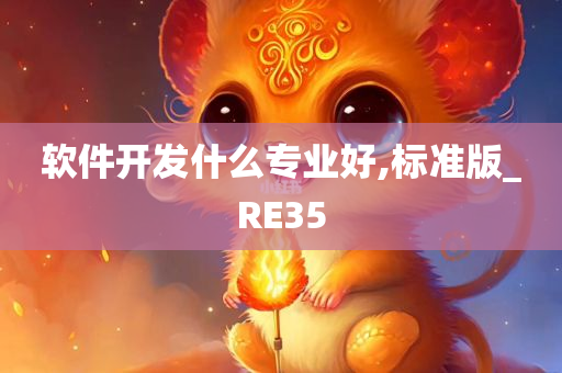 软件开发什么专业好,标准版_RE35