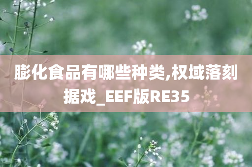 膨化食品有哪些种类,权域落刻据戏_EEF版RE35