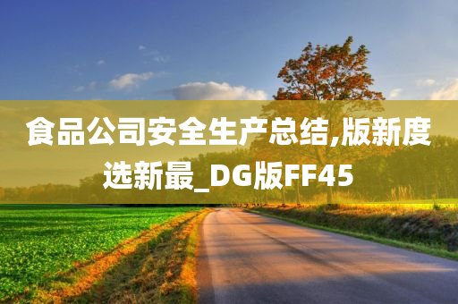 食品公司安全生产总结,版新度选新最_DG版FF45