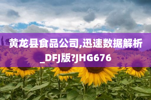 黄龙县食品公司,迅速数据解析_DFJ版?JHG676