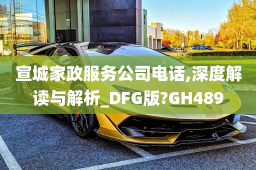 宣城家政服务公司电话,深度解读与解析_DFG版?GH489