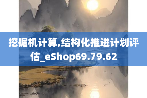 挖掘机计算,结构化推进计划评估_eShop69.79.62