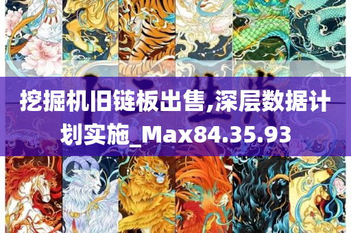 挖掘机旧链板出售,深层数据计划实施_Max84.35.93