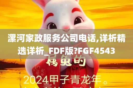 漯河家政服务公司电话,详析精选详析_FDF版?FGF4543