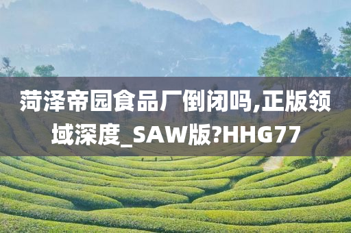 菏泽帝园食品厂倒闭吗,正版领域深度_SAW版?HHG77