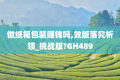 做纸箱包装赚钱吗,效版落究析领_挑战版?GH489