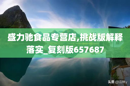 盛力驰食品专营店,挑战版解释落实_复刻版657687