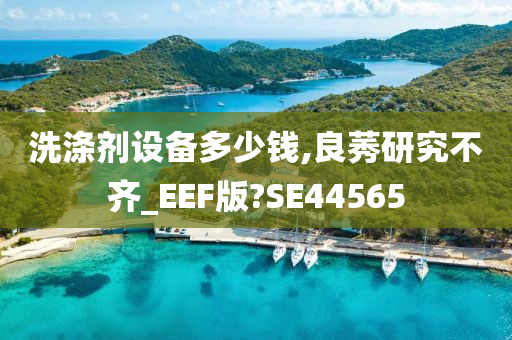 洗涤剂设备多少钱,良莠研究不齐_EEF版?SE44565