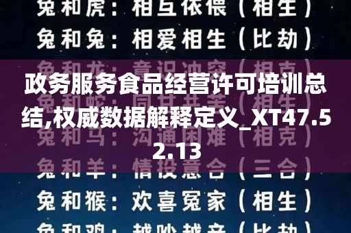 政务服务食品经营许可培训总结,权威数据解释定义_XT47.52.13