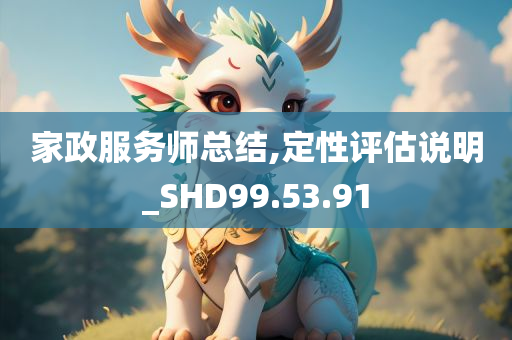 家政服务师总结,定性评估说明_SHD99.53.91