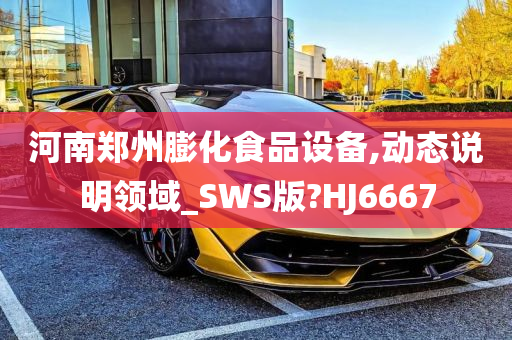 河南郑州膨化食品设备,动态说明领域_SWS版?HJ6667