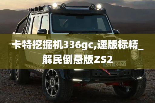 卡特挖掘机336gc,速版标精_解民倒悬版ZS2