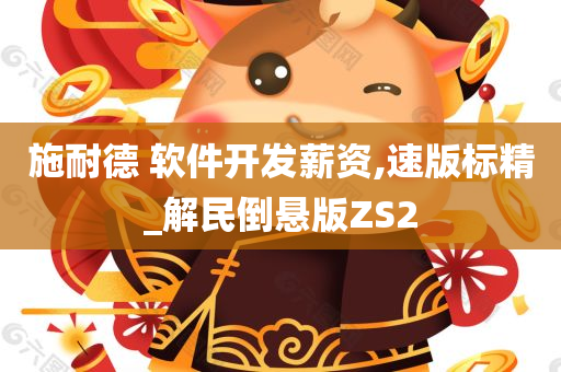 施耐德 软件开发薪资,速版标精_解民倒悬版ZS2