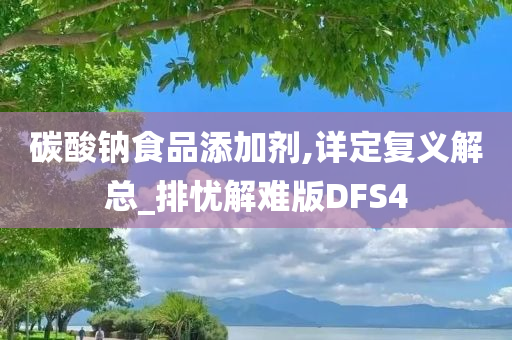 碳酸钠食品添加剂,详定复义解总_排忧解难版DFS4