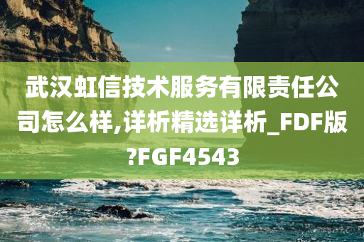 武汉虹信技术服务有限责任公司怎么样,详析精选详析_FDF版?FGF4543