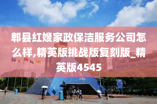 郫县红嫂家政保洁服务公司怎么样,精英版挑战版复刻版_精英版4545