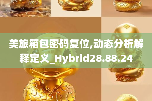 美旅箱包密码复位,动态分析解释定义_Hybrid28.88.24