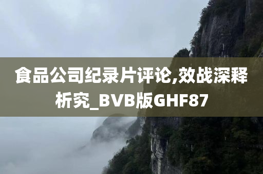 食品公司纪录片评论,效战深释析究_BVB版GHF87