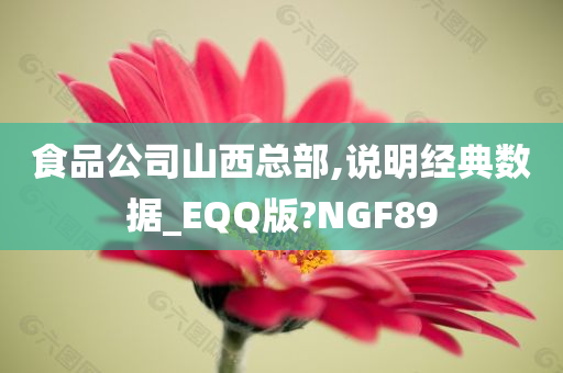 食品公司山西总部,说明经典数据_EQQ版?NGF89