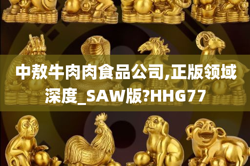 中敖牛肉肉食品公司,正版领域深度_SAW版?HHG77