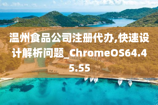 温州食品公司注册代办,快速设计解析问题_ChromeOS64.45.55