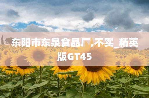 精英GT45