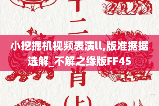 小挖掘机视频表演ll,版准据据选解_不解之缘版FF45