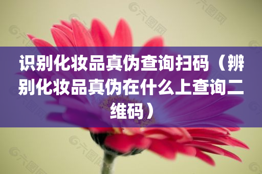 识别化妆品真伪查询扫码（辨别化妆品真伪在什么上查询二维码）