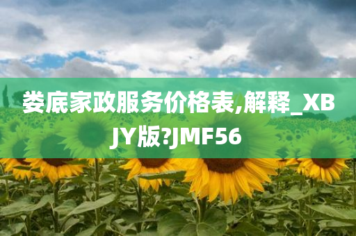 娄底家政服务价格表,解释_XBJY版?JMF56