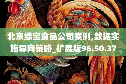 北京绿宝食品公司案例,数据实施导向策略_扩展版96.50.37