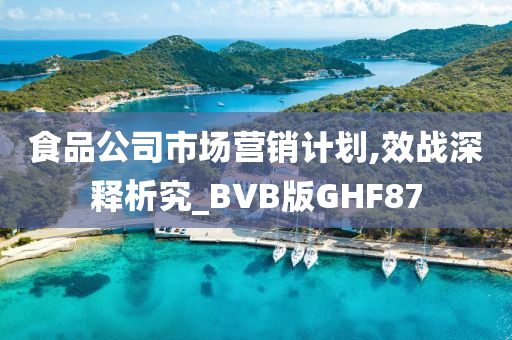 食品公司市场营销计划,效战深释析究_BVB版GHF87