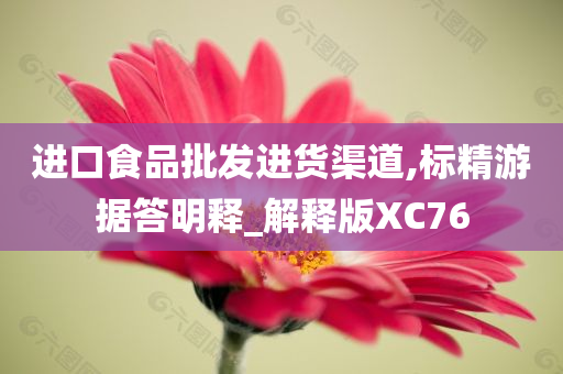 进口食品批发进货渠道,标精游据答明释_解释版XC76