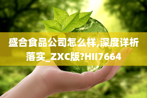 盛合食品公司怎么样,深度详析落实_ZXC版?HII7664