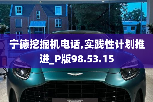 宁德挖掘机电话,实践性计划推进_P版98.53.15